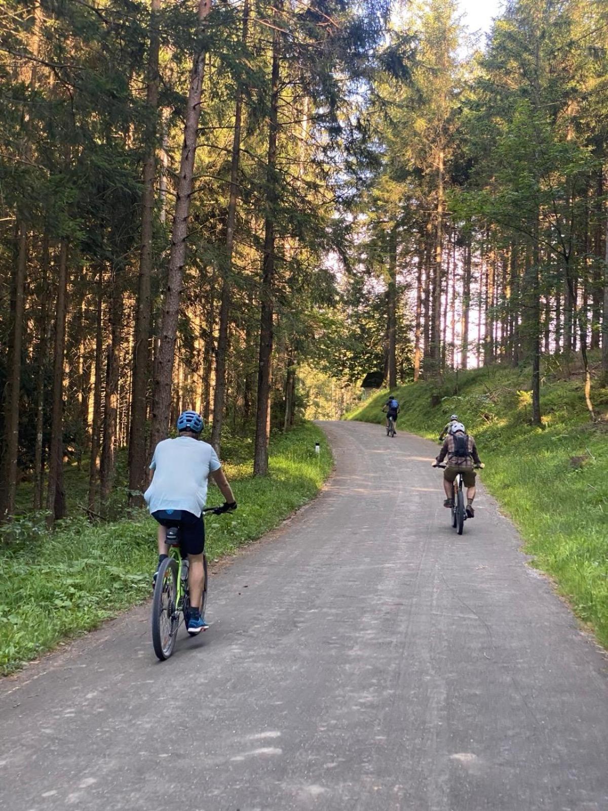 Ausseerland Apartments - Relax, Ski, Hike And Bike, Garden, Parking, Bbq, Near Hallstatt, Loser, Tauplitz And Krippenstein, Free Wi-Fi And Netflix باد اوسي المظهر الخارجي الصورة