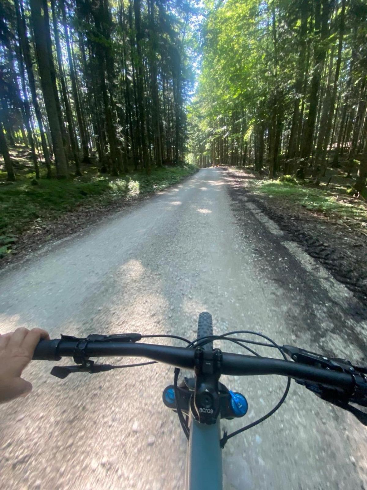 Ausseerland Apartments - Relax, Ski, Hike And Bike, Garden, Parking, Bbq, Near Hallstatt, Loser, Tauplitz And Krippenstein, Free Wi-Fi And Netflix باد اوسي المظهر الخارجي الصورة
